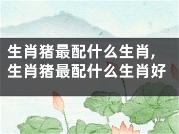 生肖猪最配什么生肖,生肖猪最配什么生肖好