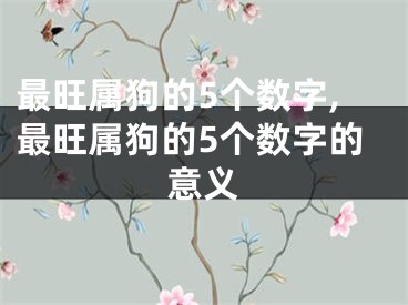 最旺属狗的5个数字,最旺属狗的5个数字的意义