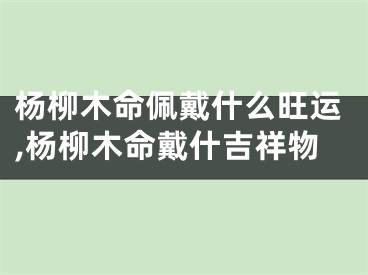 杨柳木命佩戴什么旺运,杨柳木命戴什吉祥物