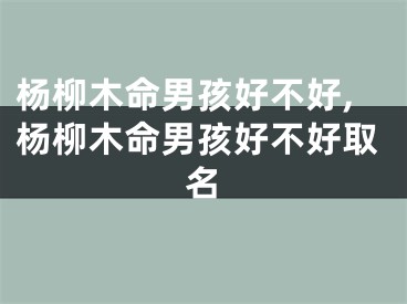 杨柳木命男孩好不好,杨柳木命男孩好不好取名