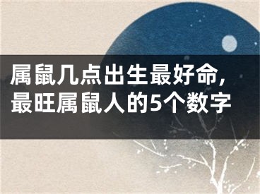 属鼠几点出生最好命,最旺属鼠人的5个数字