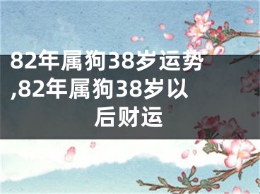 82年属狗38岁运势,82年属狗38岁以后财运