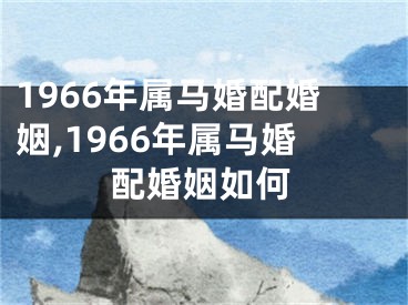 1966年属马婚配婚姻,1966年属马婚配婚姻如何