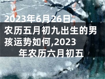 2023年6月26日农历五月初九出生的男孩运势如何,2023年农历六月初五