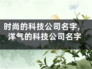 时尚的科技公司名字,洋气的科技公司名字