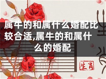 属牛的和属什么婚配比较合适,属牛的和属什么的婚配