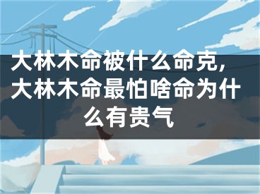 大林木命被什么命克,大林木命最怕啥命为什么有贵气