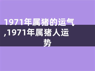 1971年属猪的运气,1971年属猪人运势