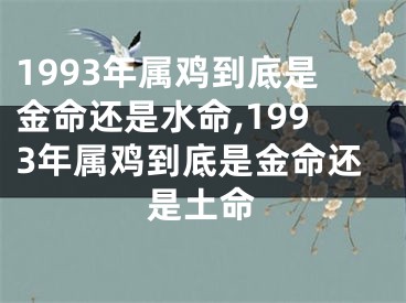 1993年属鸡到底是金命还是水命,1993年属鸡到底是金命还是土命