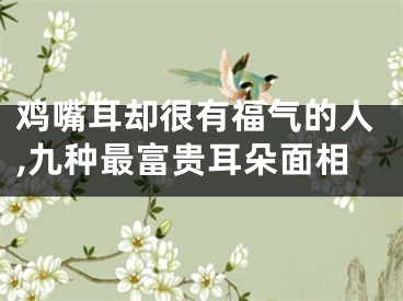 鸡嘴耳却很有福气的人,九种最富贵耳朵面相