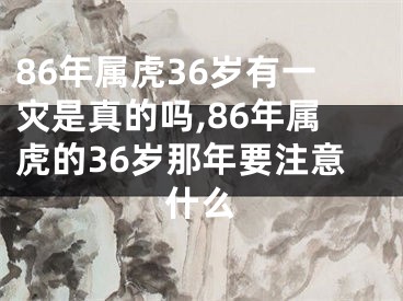 86年属虎36岁有一灾是真的吗,86年属虎的36岁那年要注意什么