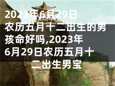 2023年6月29日农历五月十二出生的男孩命好吗,2023年6月29日农历五月十二出生男宝