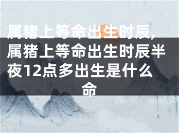 属猪上等命出生时辰,属猪上等命出生时辰半夜12点多出生是什么命