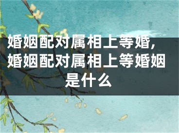 婚姻配对属相上等婚,婚姻配对属相上等婚姻是什么