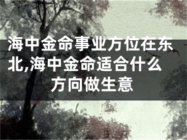 海中金命事业方位在东北,海中金命适合什么方向做生意