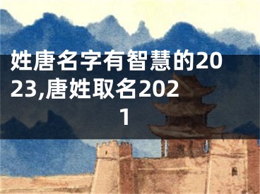 姓唐名字有智慧的2023,唐姓取名2021