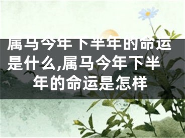 属马今年下半年的命运是什么,属马今年下半年的命运是怎样