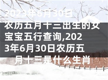 2023年6月30日农历五月十三出生的女宝宝五行查询,2023年6月30日农历五月十三是什么生肖