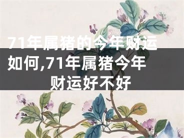 71年属猪的今年财运如何,71年属猪今年财运好不好