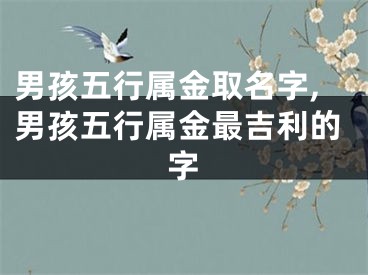 男孩五行属金取名字,男孩五行属金最吉利的字