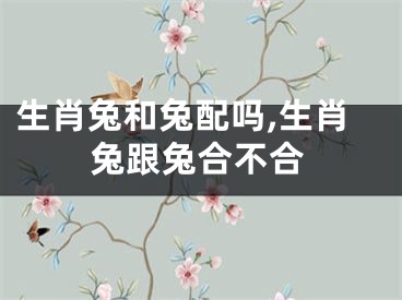 生肖兔和兔配吗,生肖兔跟兔合不合