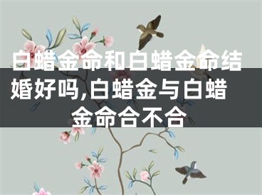 白蜡金命和白蜡金命结婚好吗,白蜡金与白蜡金命合不合