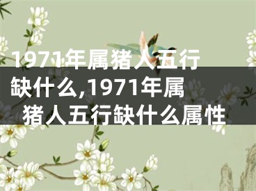 1971年属猪人五行缺什么,1971年属猪人五行缺什么属性