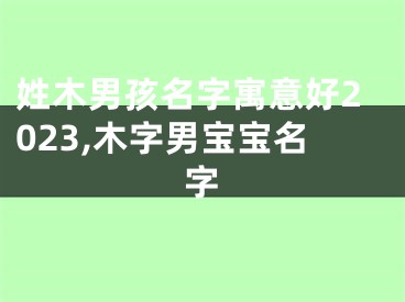 姓木男孩名字寓意好2023,木字男宝宝名字