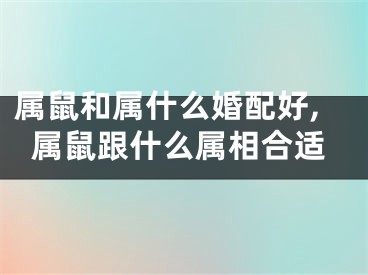 属鼠和属什么婚配好,属鼠跟什么属相合适