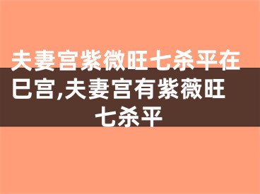 夫妻宫紫微旺七杀平在巳宫,夫妻宫有紫薇旺七杀平