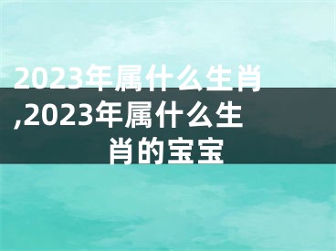 2023年属什么生肖,2023年属什么生肖的宝宝