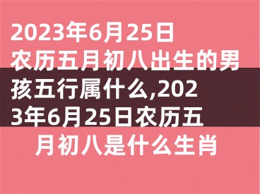 2023年6月25日农历五月初八出生的男孩五行属什么,2023年6月25日农历五月初八是什么生肖