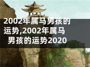 2002年属马男孩的运势,2002年属马男孩的运势2020