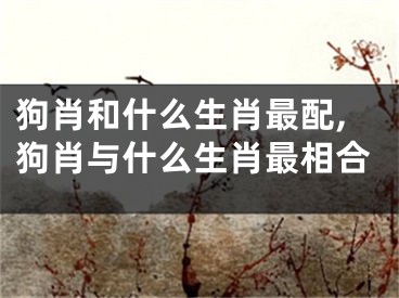 狗肖和什么生肖最配,狗肖与什么生肖最相合