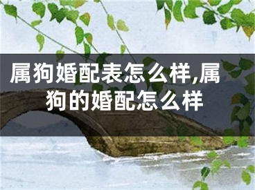 属狗婚配表怎么样,属狗的婚配怎么样