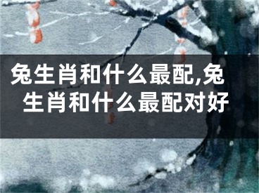 兔生肖和什么最配,兔生肖和什么最配对好