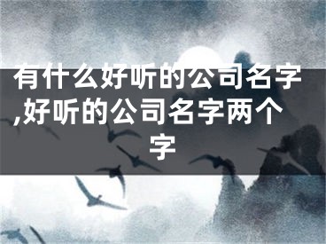 有什么好听的公司名字,好听的公司名字两个字