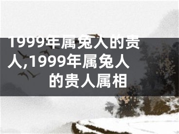 1999年属兔人的贵人,1999年属兔人的贵人属相