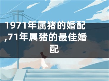 1971年属猪的婚配,71年属猪的最佳婚配