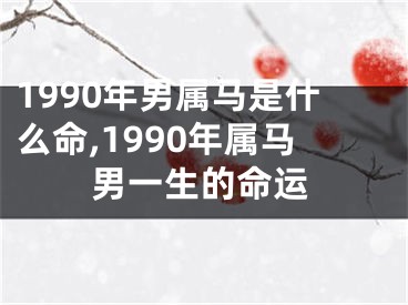 1990年男属马是什么命,1990年属马男一生的命运