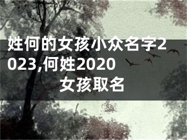 姓何的女孩小众名字2023,何姓2020女孩取名