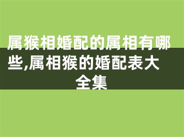 属猴相婚配的属相有哪些,属相猴的婚配表大全集