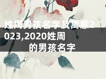 姓周男孩名字及寓意2023,2020姓周的男孩名字