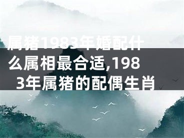 属猪1983年婚配什么属相最合适,1983年属猪的配偶生肖