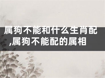 属狗不能和什么生肖配,属狗不能配的属相