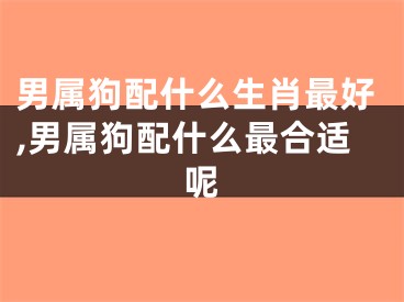 男属狗配什么生肖最好,男属狗配什么最合适呢