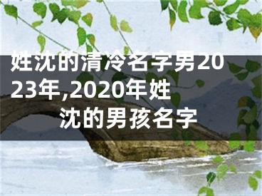 姓沈的清冷名字男2023年,2020年姓沈的男孩名字