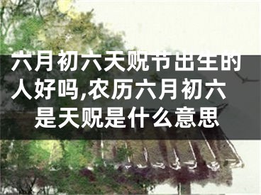 六月初六天贶节出生的人好吗,农历六月初六是天贶是什么意思