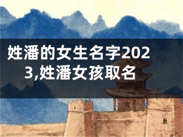 姓潘的女生名字2023,姓潘女孩取名