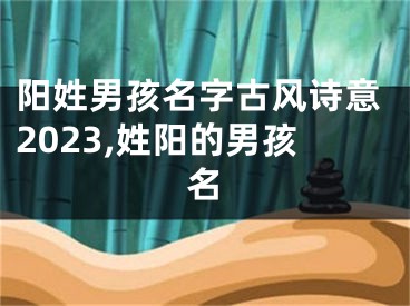 阳姓男孩名字古风诗意2023,姓阳的男孩名